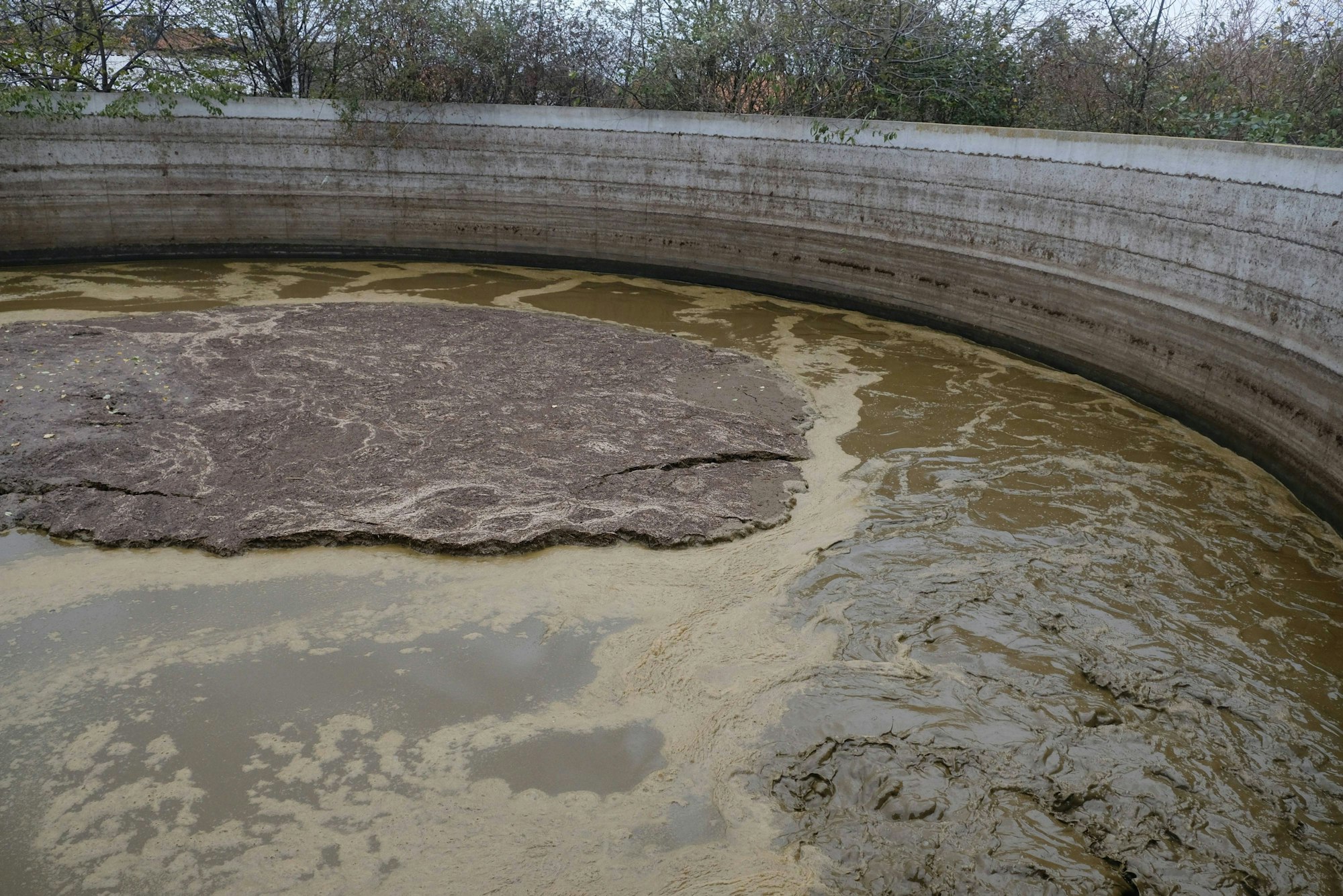 In einem solchen Becken wurden zwei Leichen entdeckt (Symbolbild).