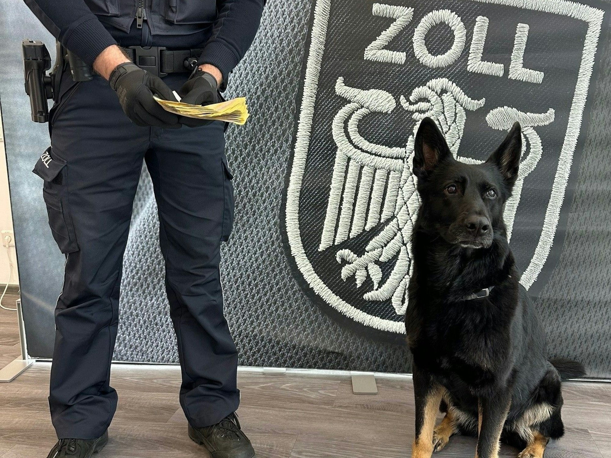 Ein Polizeihund steht neben einem Beamten.