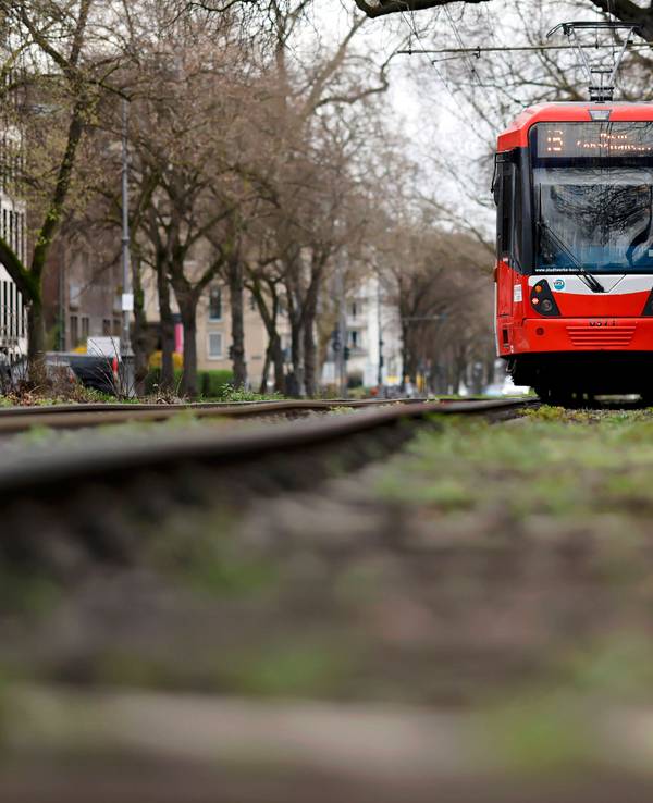 Eine KVB-Bahn in der Kölner Südstadt (Symbolfoto). Im Bereich Eifelplatz kam es am Mittwochnachmittag (9. April 2025) zu einem Unfall.