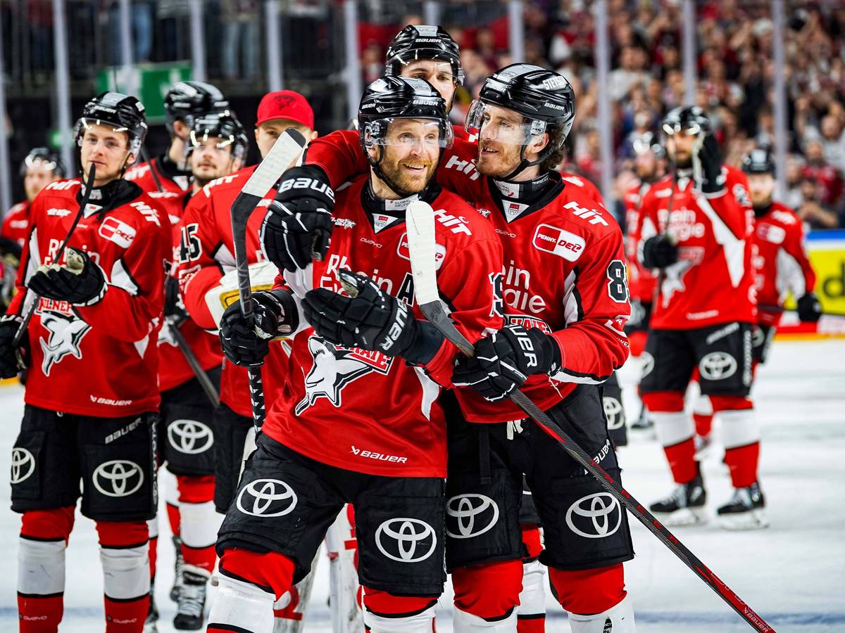 Die Kölner Haie feiern im vierten Halbfinalspiel gegen den ERC Ingolstadt am Mittwoch (9. April 2025) ihren dritten Sieg.