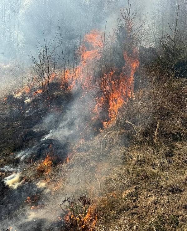 Das von der Feuerwehr Sundern zur Verfügung gestellten Handout zeigt in einem schwer zugänglichen Waldgebiet zwischen Hellefeld und Westenfeld einen Waldbrand.