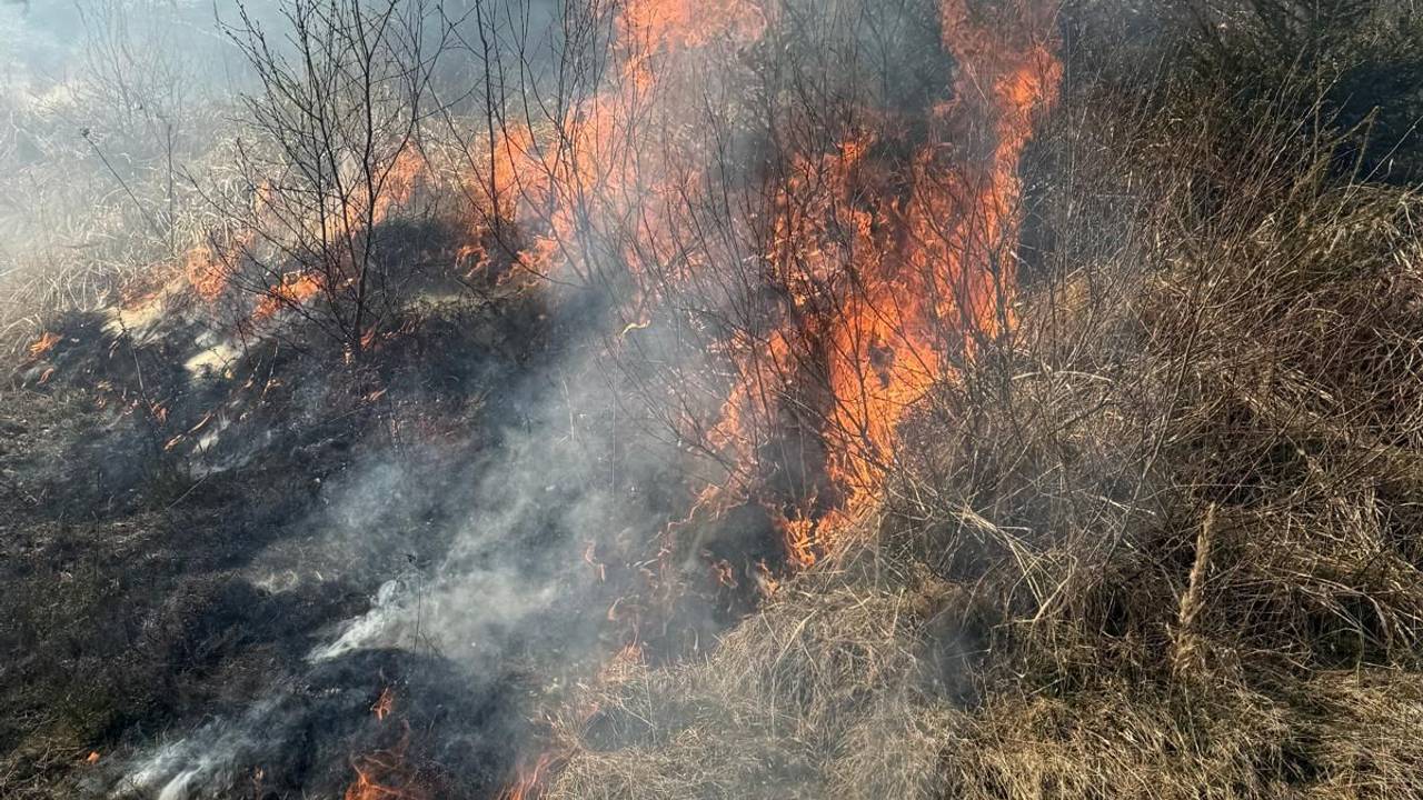 Das von der Feuerwehr Sundern zur Verfügung gestellten Handout zeigt in einem schwer zugänglichen Waldgebiet zwischen Hellefeld und Westenfeld einen Waldbrand.