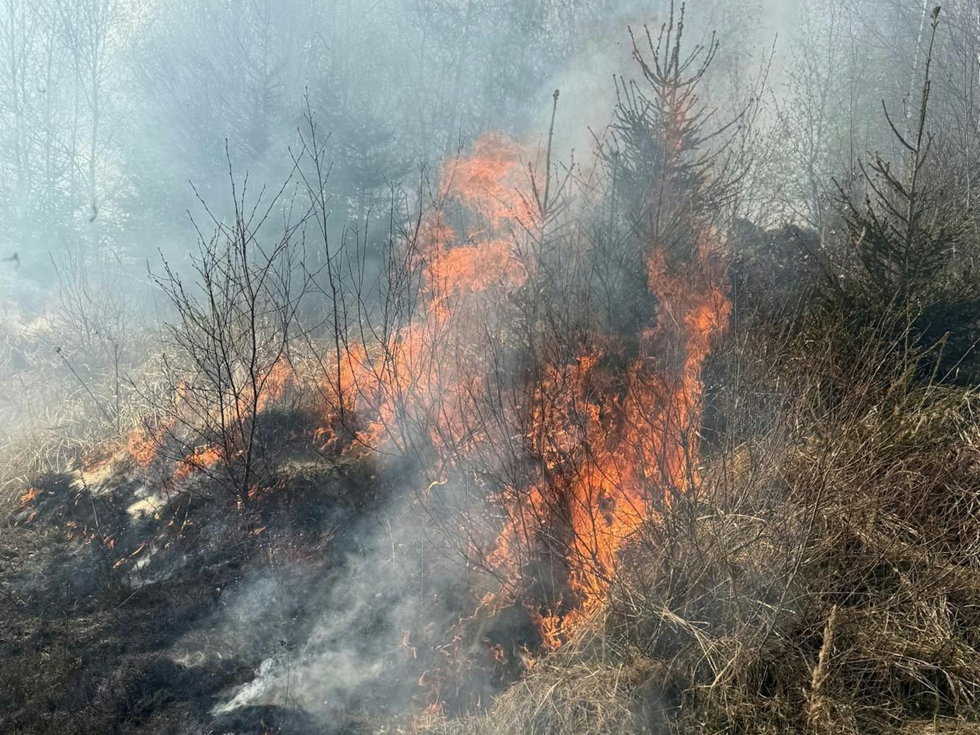 Das von der Feuerwehr Sundern zur Verfügung gestellten Handout zeigt in einem schwer zugänglichen Waldgebiet zwischen Hellefeld und Westenfeld einen Waldbrand.