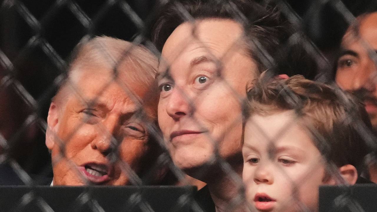 US-Präsident Donald Trump, Elon Musk und sein Sohn X Æ A-Xii besuchen am 12. April 2025 (Ortszeit) einen Mixed Martial Arts-Kampf bei UFC 314 Ultimate Fighting Championship in Miami.