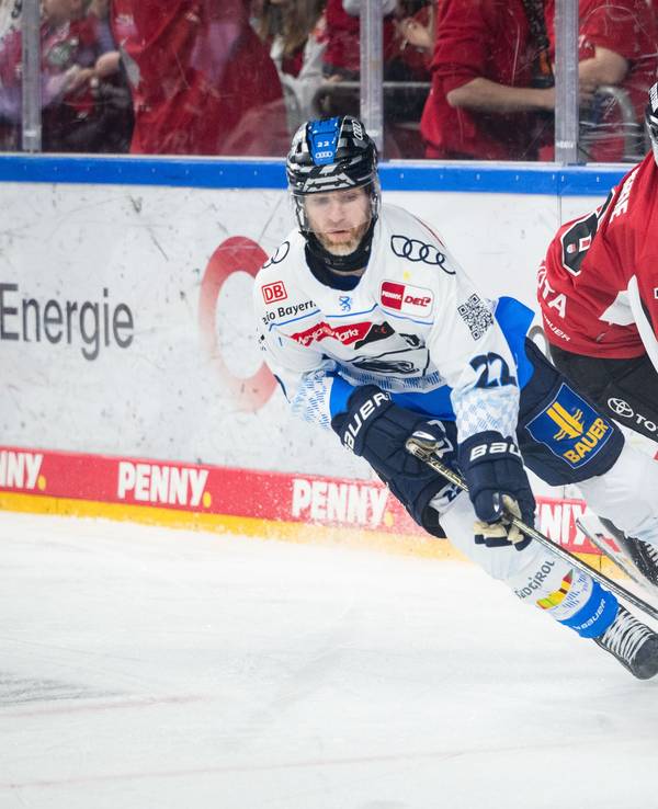 Kölns Josh Currie (r) und Ingolstadts Mathew Bodie kämpfen um den Puck.
