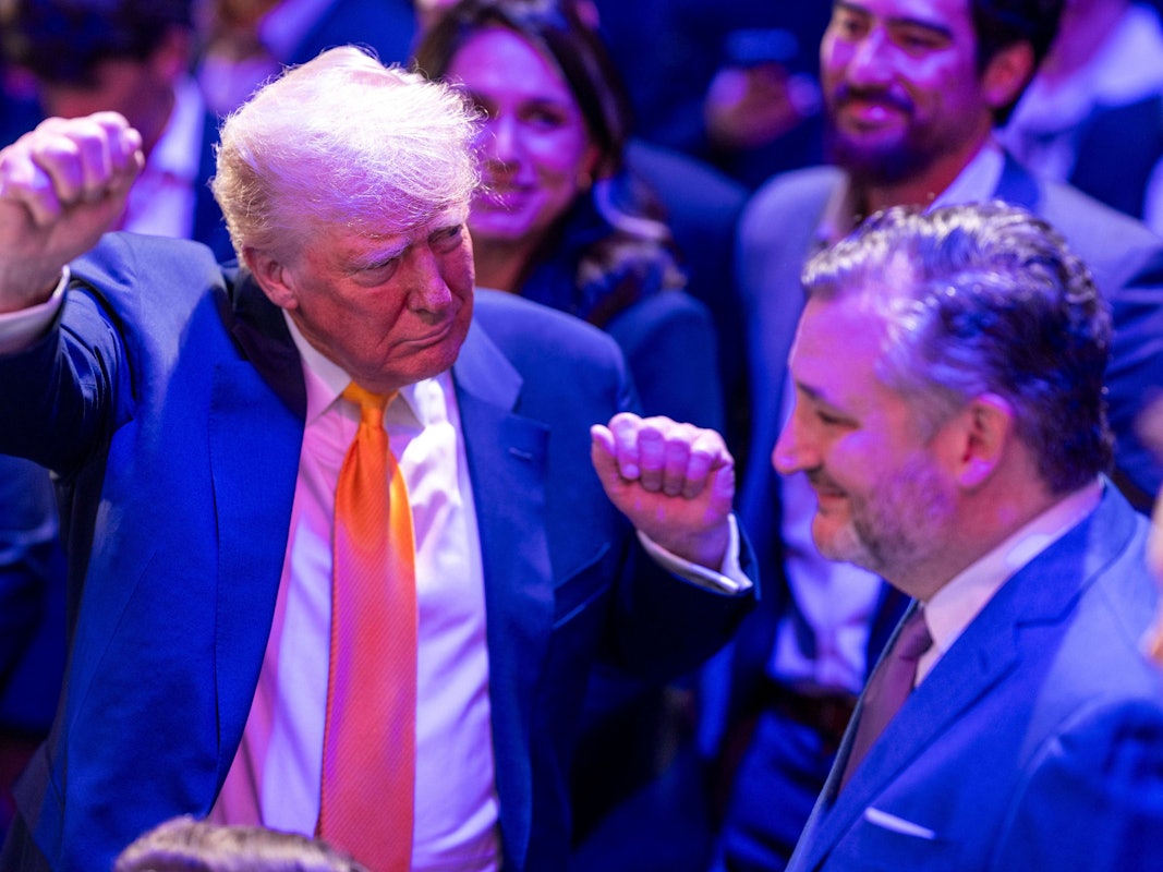 Donald Trump neben Ted Cruz beim UFC-Event.
