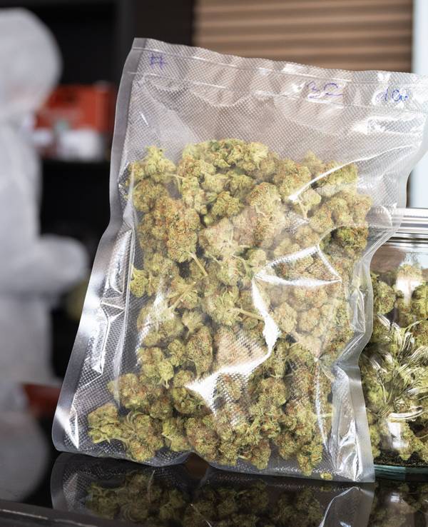 Das Symbolbild zeigt fertig verpackte Cannabis-Blüten auf dem Tresen des ‚Cannabis Social Club Rhoihesse‘. Die Anbauvereinigung bezieht ihr Gras aus eigener Anzucht und gibt es ausschließlich an Mitglieder ab. Seit der Legalisierung hat der Schmuggel zugenommen.