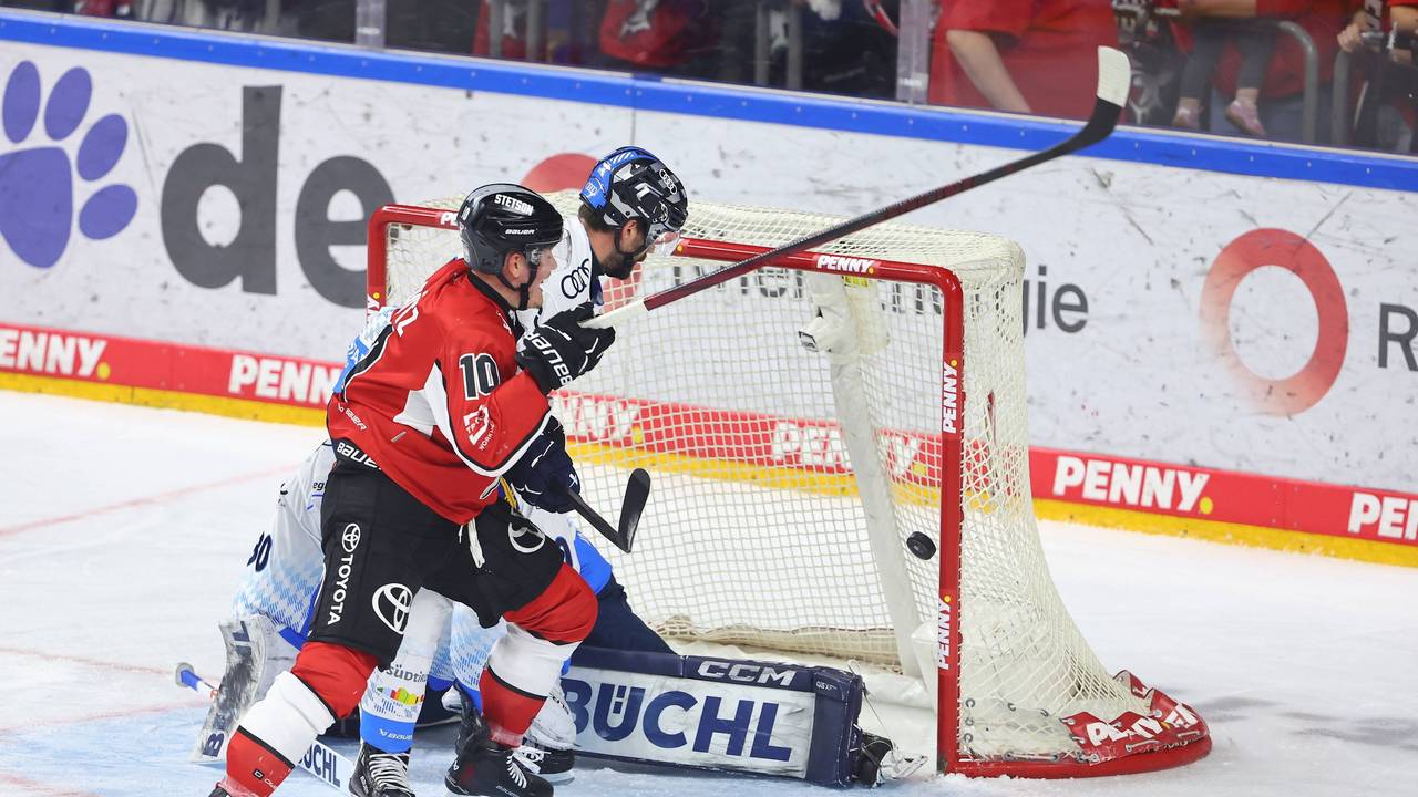 Haie-Profi Justin Schütz in Aktion.