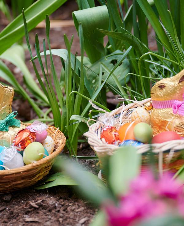 Zwei Osternester mit Schokoladenhasen, gefärbten Eiern und Schokoladeneiern liegen in einem Blumenbeet (gestellte Szene).