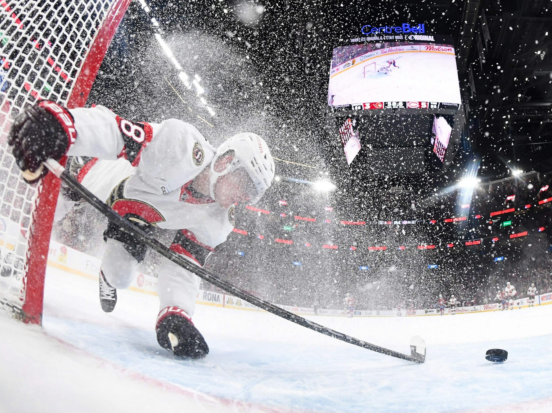 Tim Stützle kracht ins Tor.