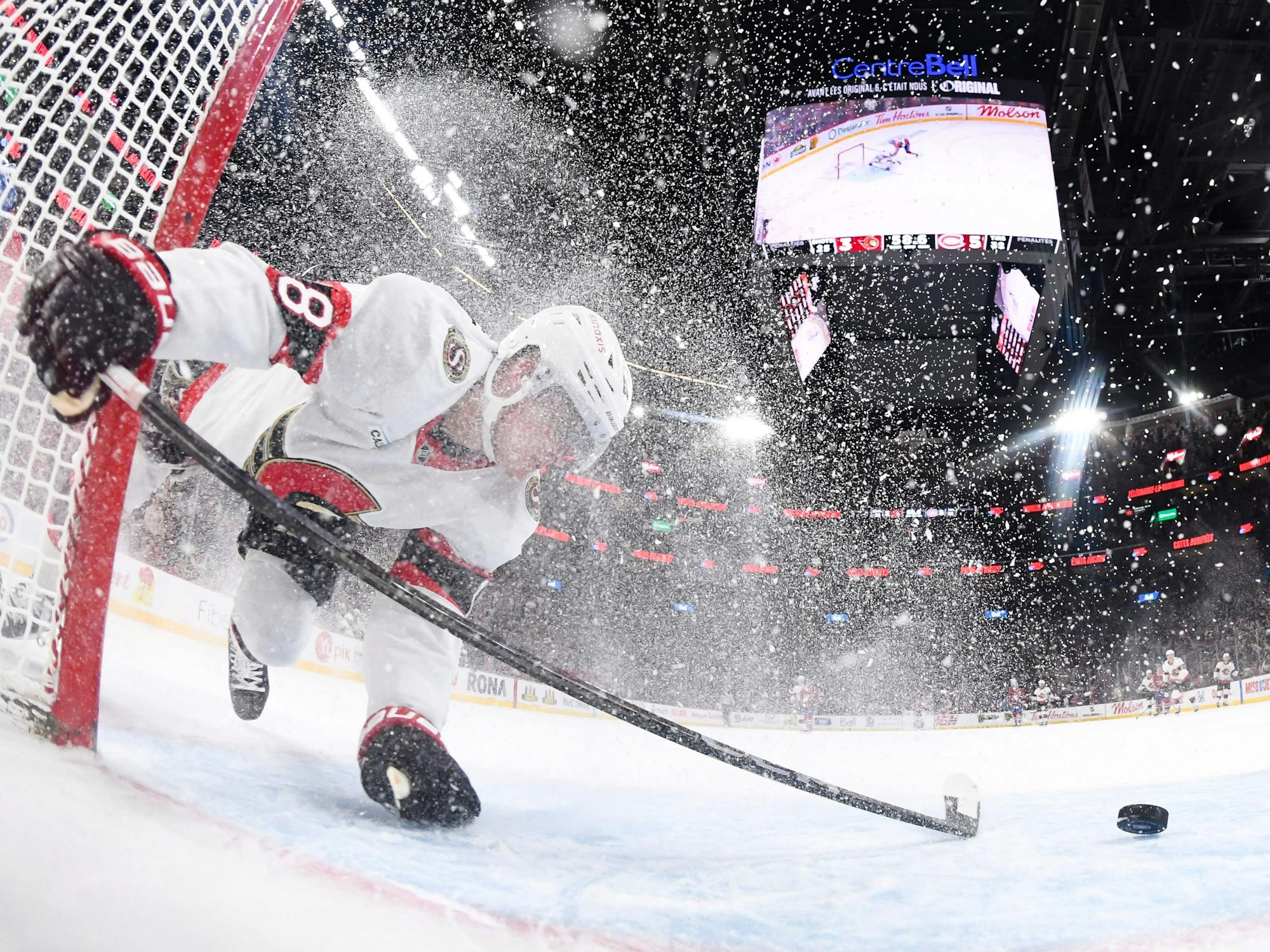 Tim Stützle kracht ins Tor.