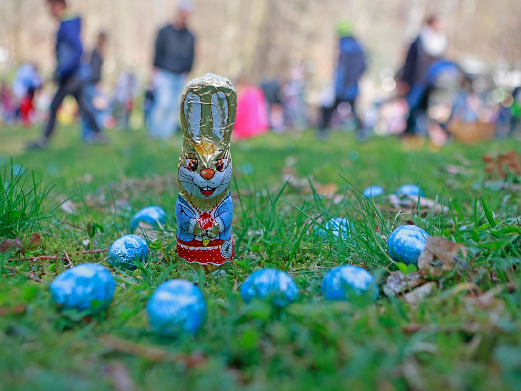 Süßigkeiten zum Osterfest liegen auf einer Wiese im Garten.