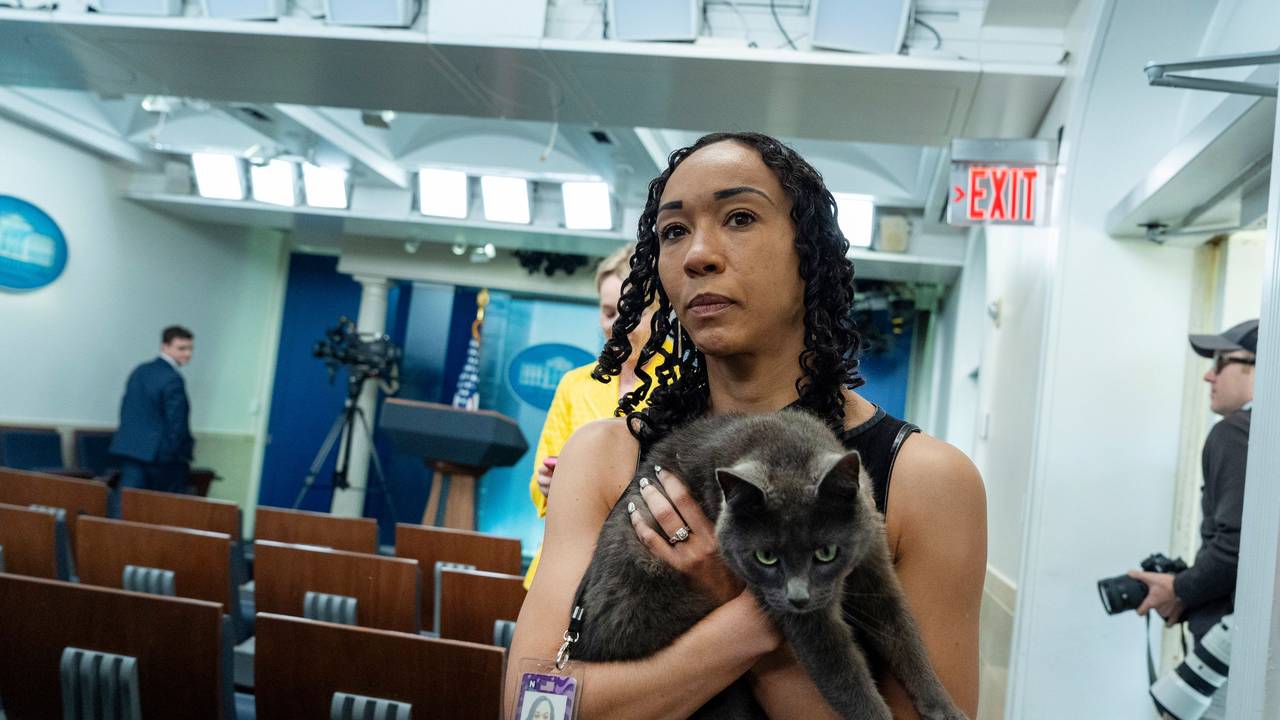 Eine Frau hält eine Katze auf dem Arm, im Hintergrund steht eine Filmkamera.