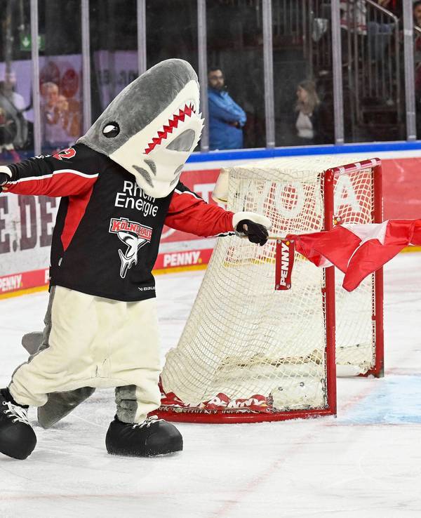 Maskottchen Sharky bei einem Heimspiel der Kölner Haie auf dem Eis.