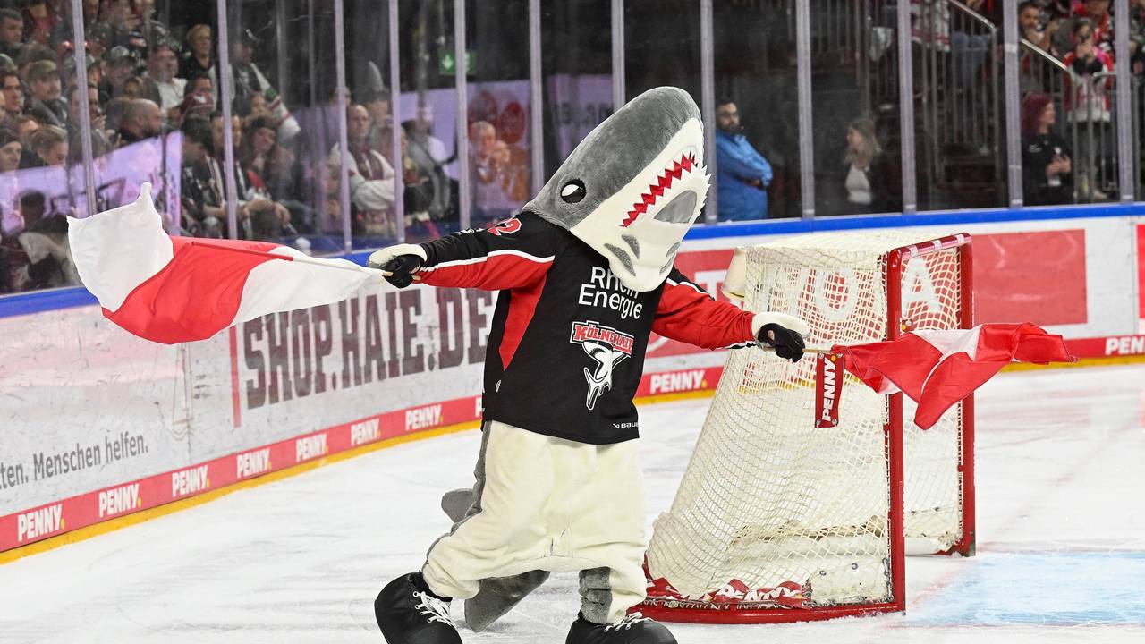 Maskottchen Sharky bei einem Heimspiel der Kölner Haie auf dem Eis.