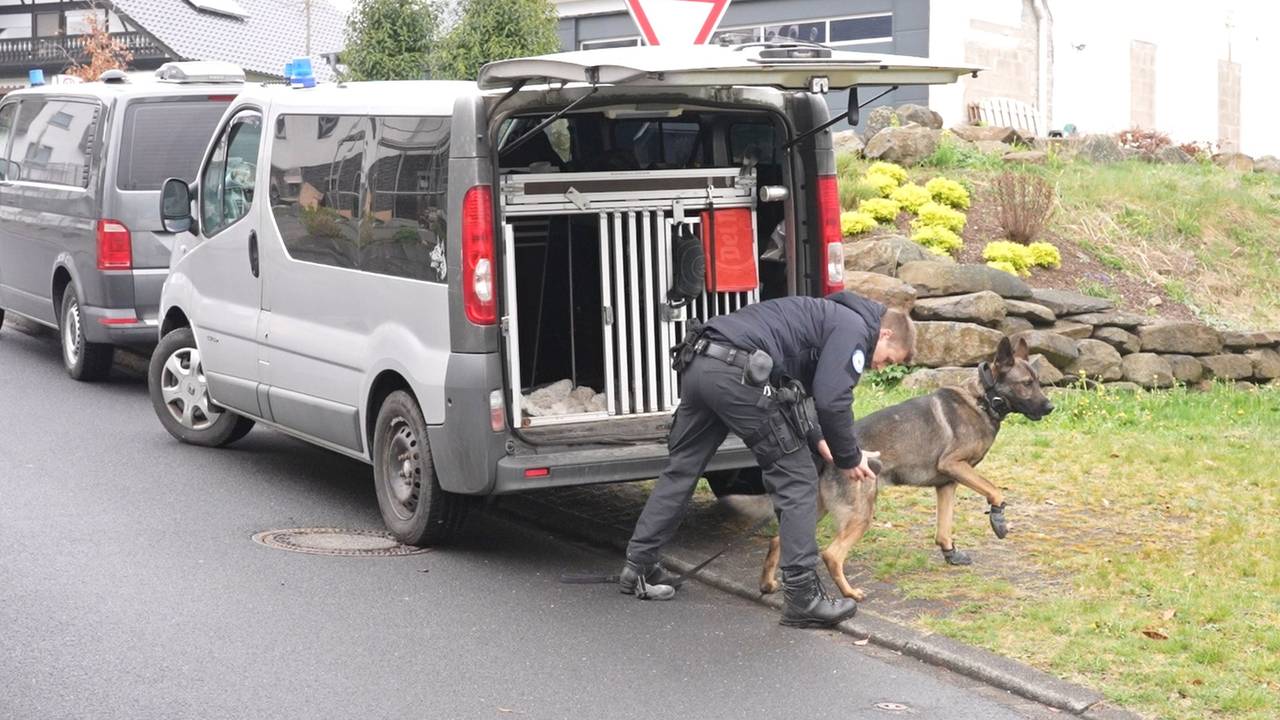 Ein Polizist und ein Suchhund bereiten sich auf einen Einsatz vor.