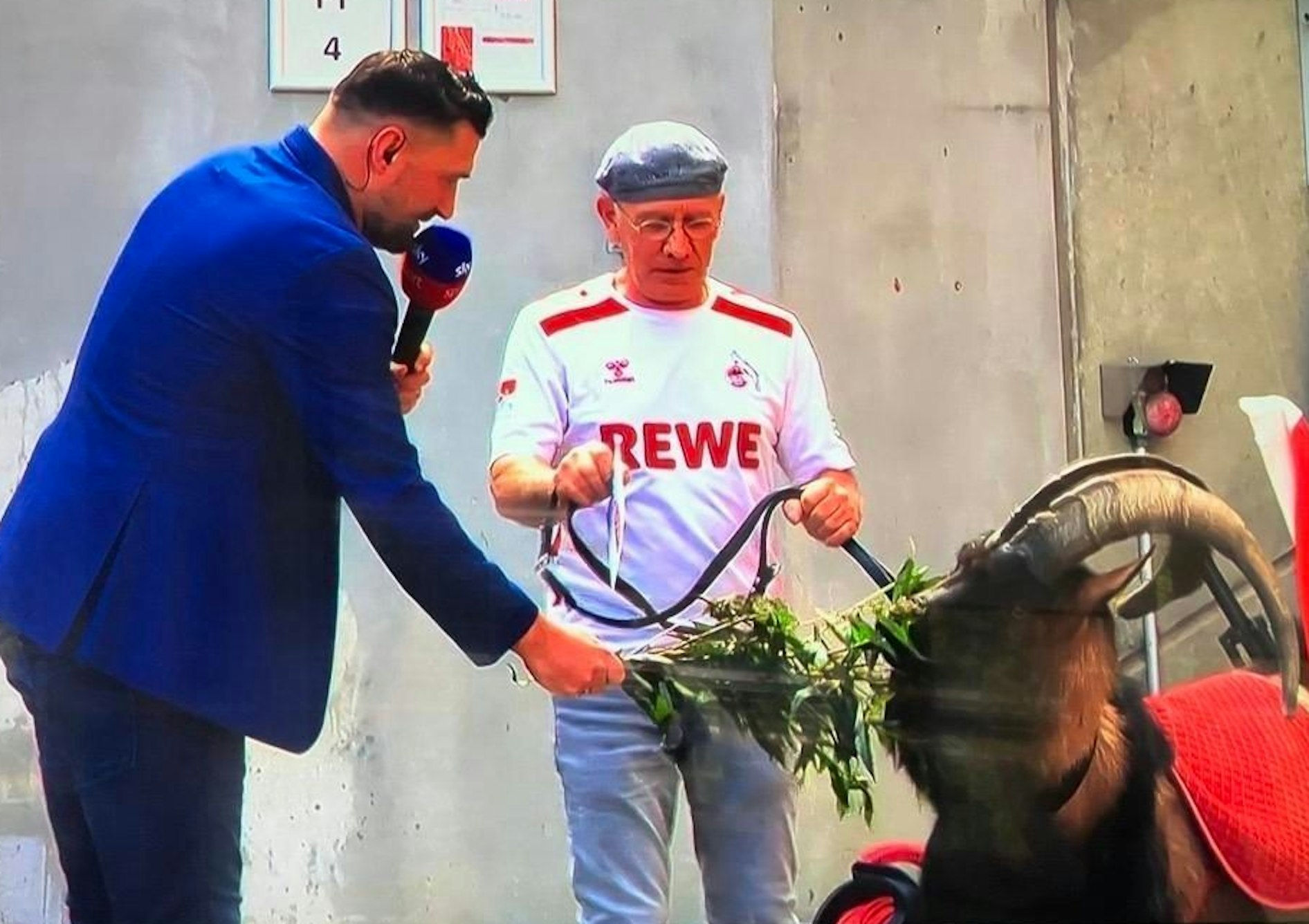 Sky-Experte Torsten Mattuschka füttert FC-Maskottchen Hennes.
