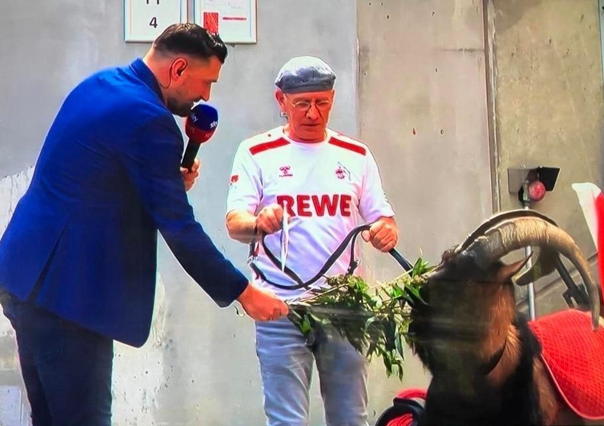 Sky-Experte Torsten Mattuschka füttert FC-Maskottchen Hennes.