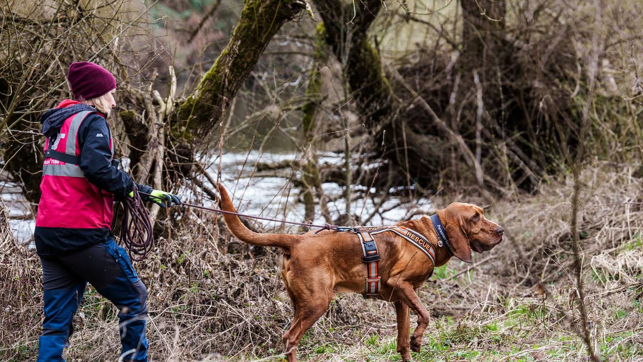 Eine Hundeführerin und ihr Rettungshund suchen am Ufer der Lahn nach dem vermissten sechsjährigen Jungen Pawlos.