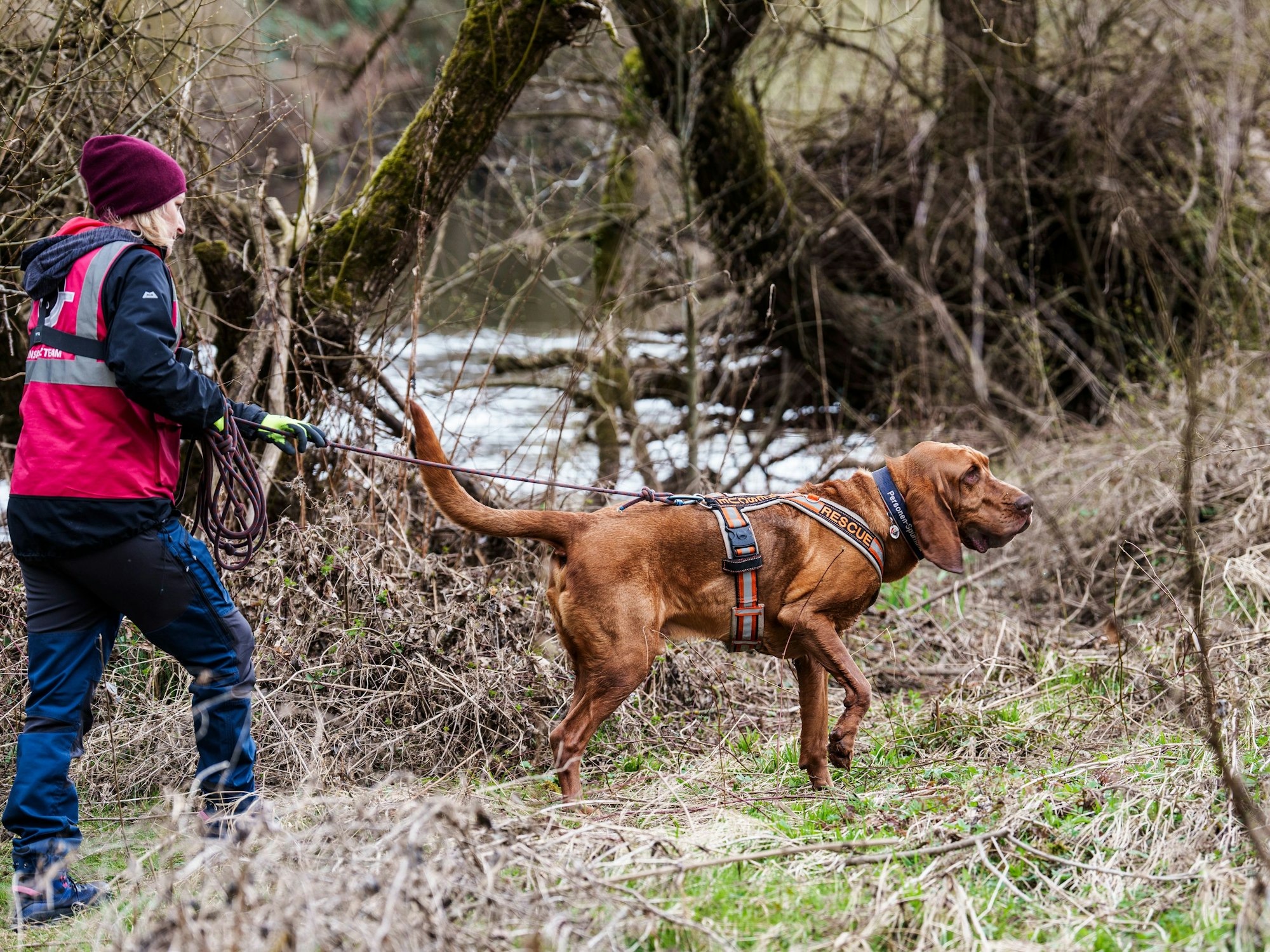 Eine Hundeführerin und ihr Rettungshund suchen am Ufer der Lahn nach dem vermissten sechsjährigen Jungen Pawlos.
