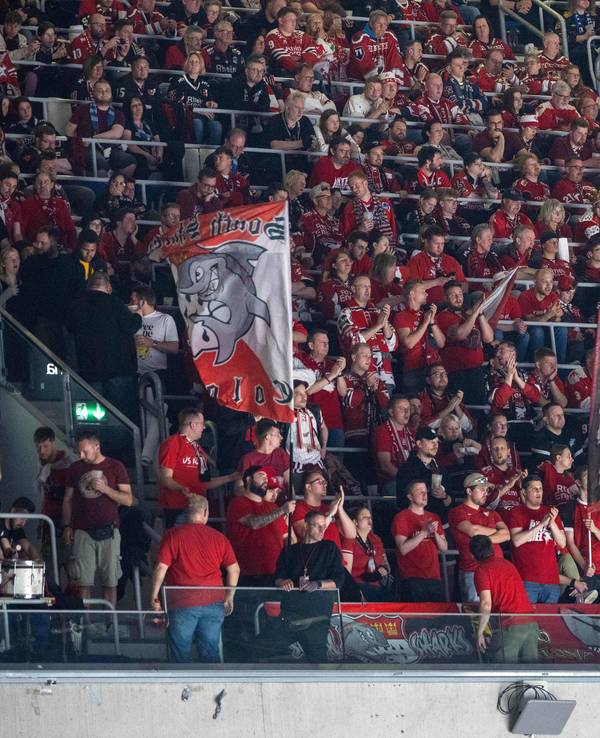 Die Fans der Kölner Haie auf der Tribüne.