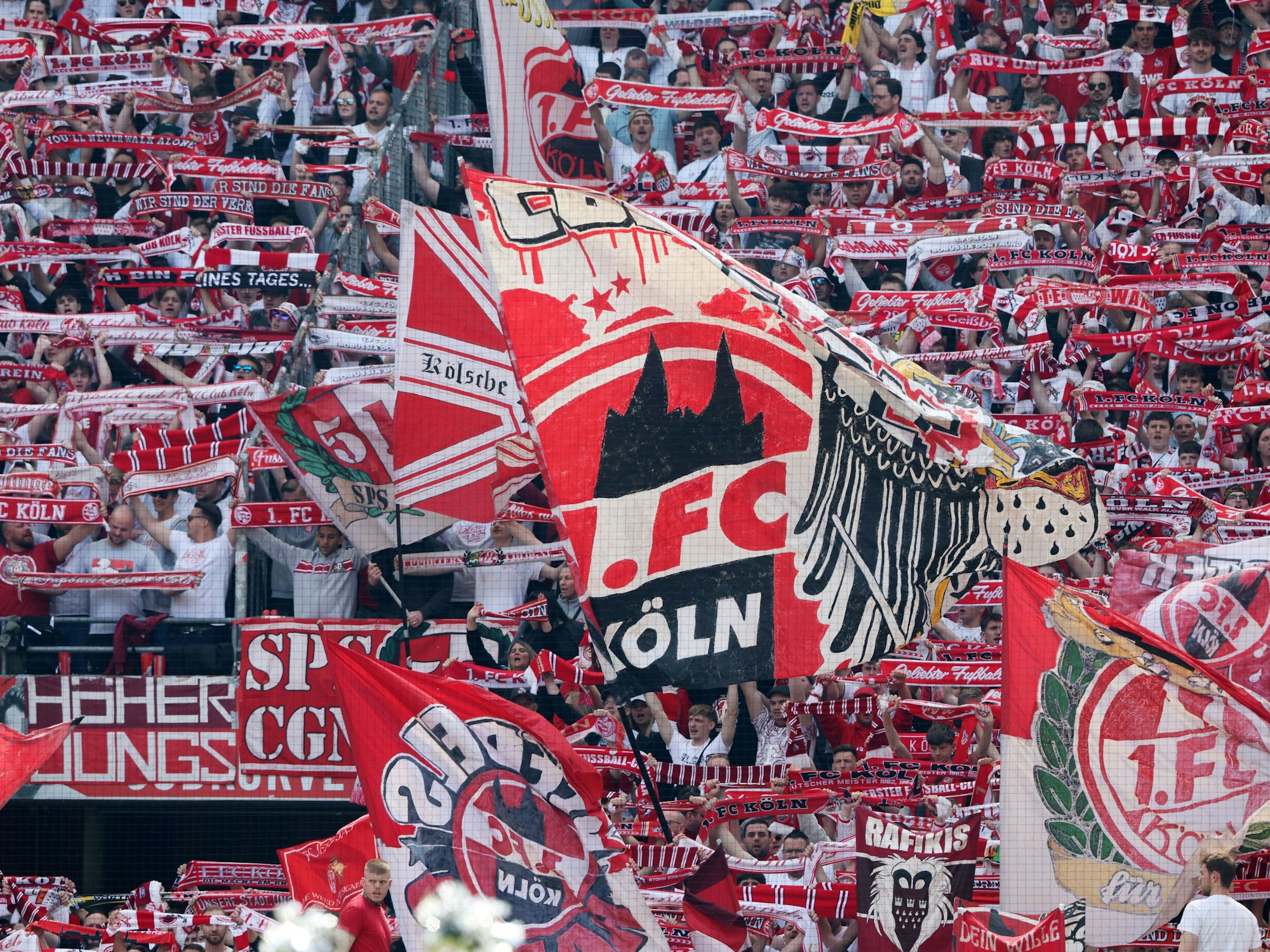 1. FC Köln gegen Preußen Münster: Fans auf der Südtribüne.