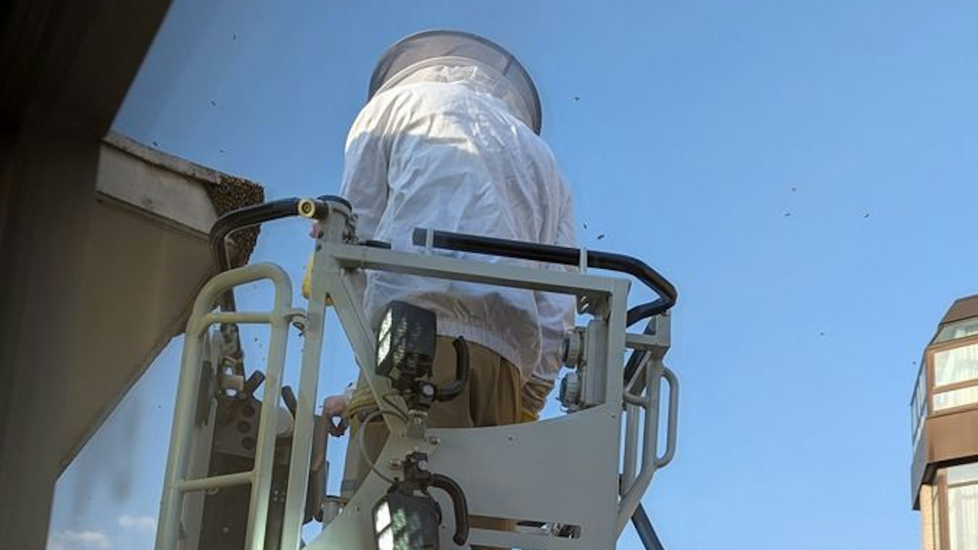Das Bild zeigt die Bergung eines Bienenvolks am Nachbargebäude der Leitstelle der Bundespolizei in Köln.