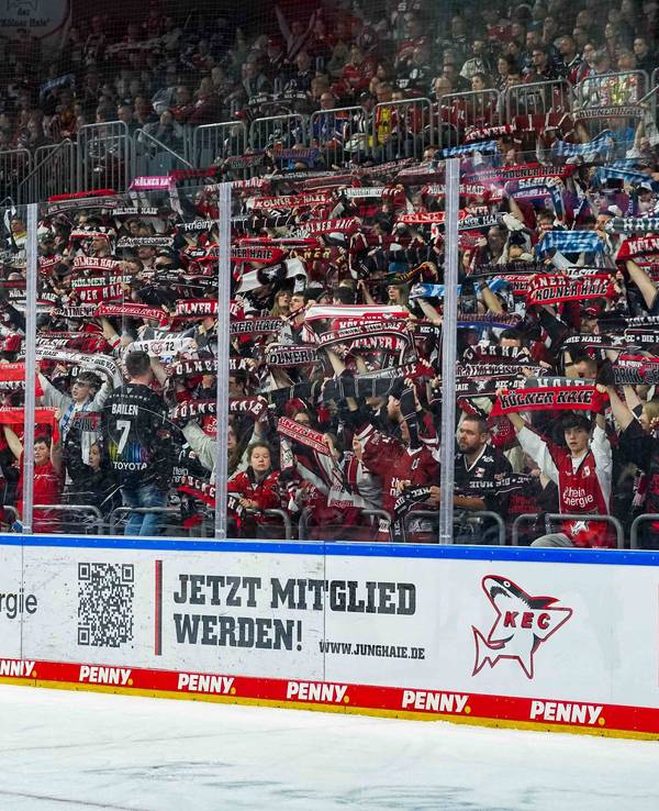 Die Fans der Kölner Haie halten Schals hoch.