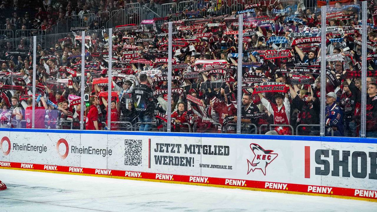 Die Fans der Kölner Haie halten Schals hoch.