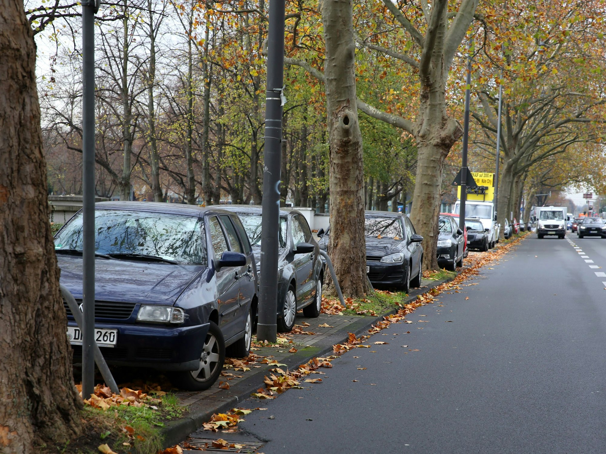 Autos parken an einer Straße.