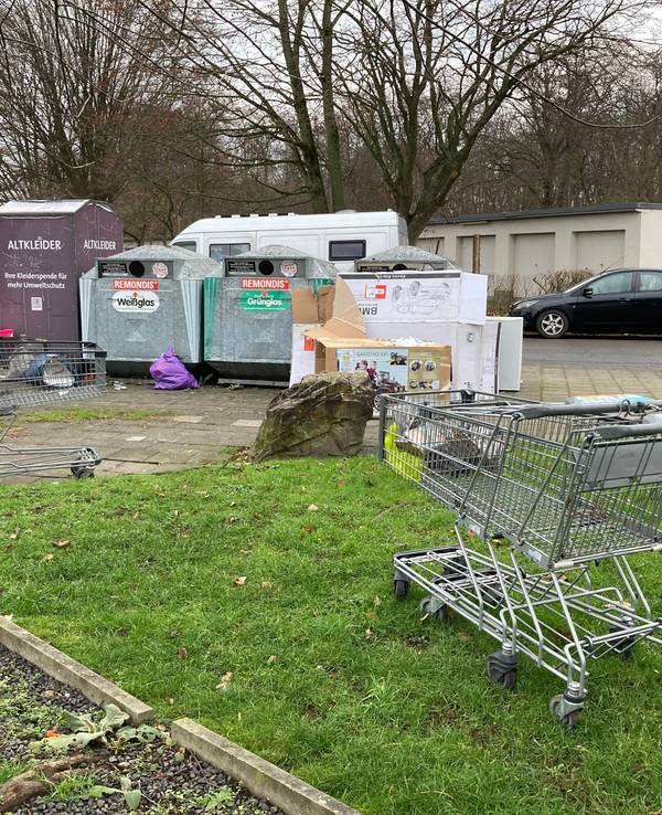 Vor Containern liegt Müll, davor stehen drei achtlos abgestellte Einkaufswagen.