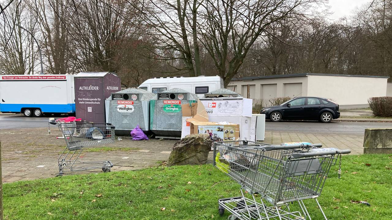 Vor Containern liegt Müll, davor stehen drei achtlos abgestellte Einkaufswagen.