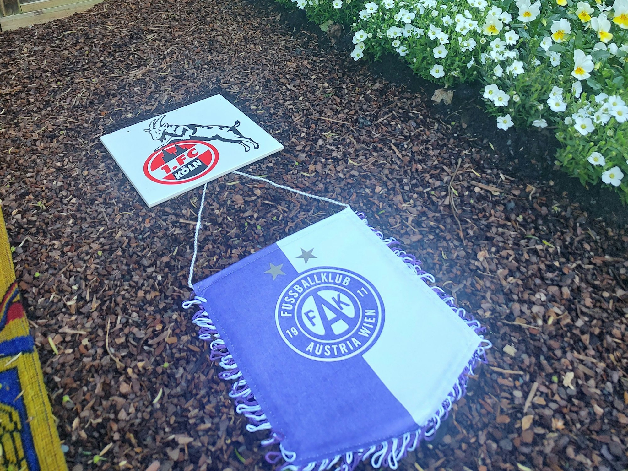 Ein Wimpel von Austria Wien liegt auf Melaten neben dem Grab von Christoph Daum.