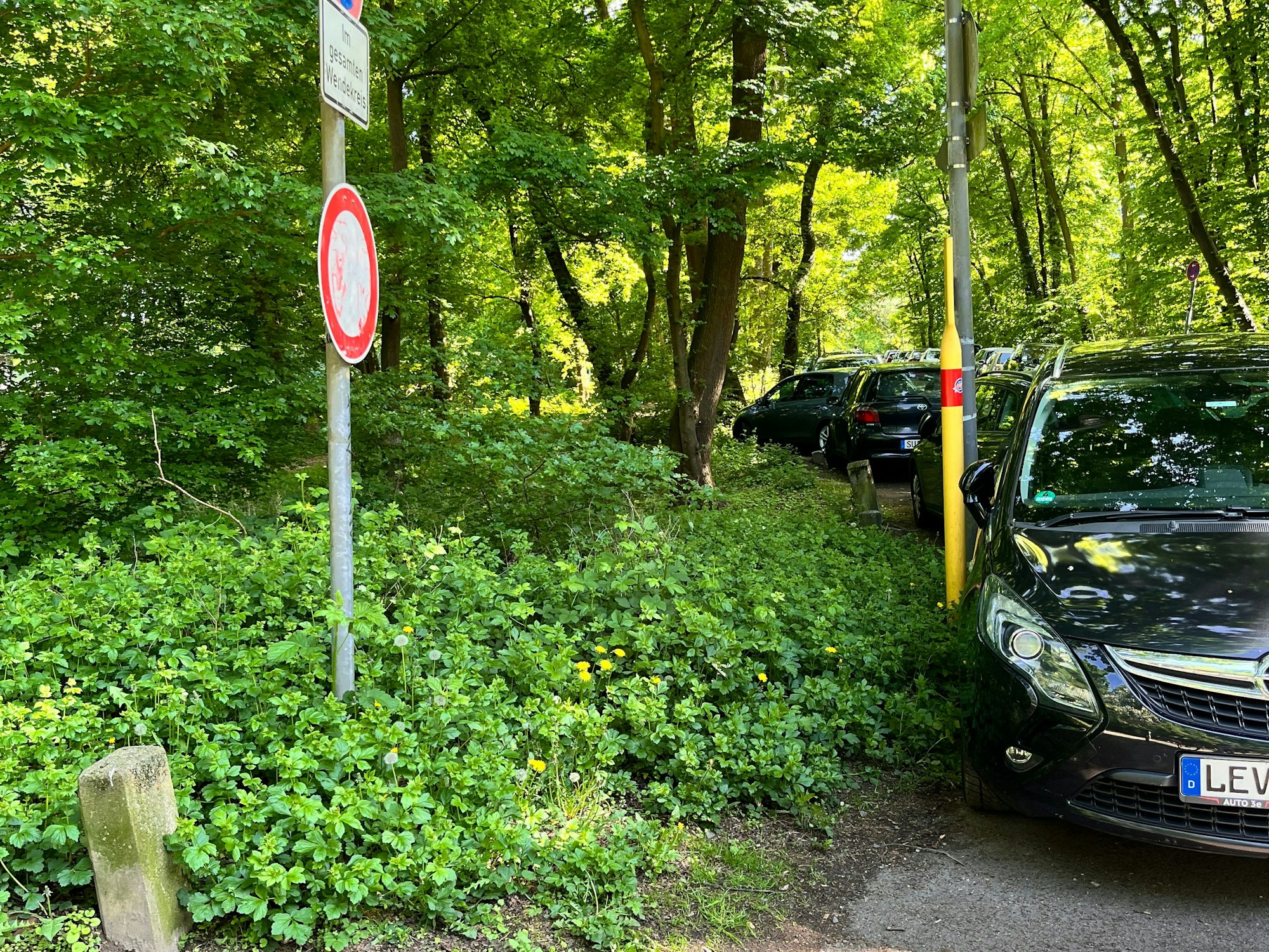 Mehrere Autos stehen im Grünbereich der Merheimer Heide
