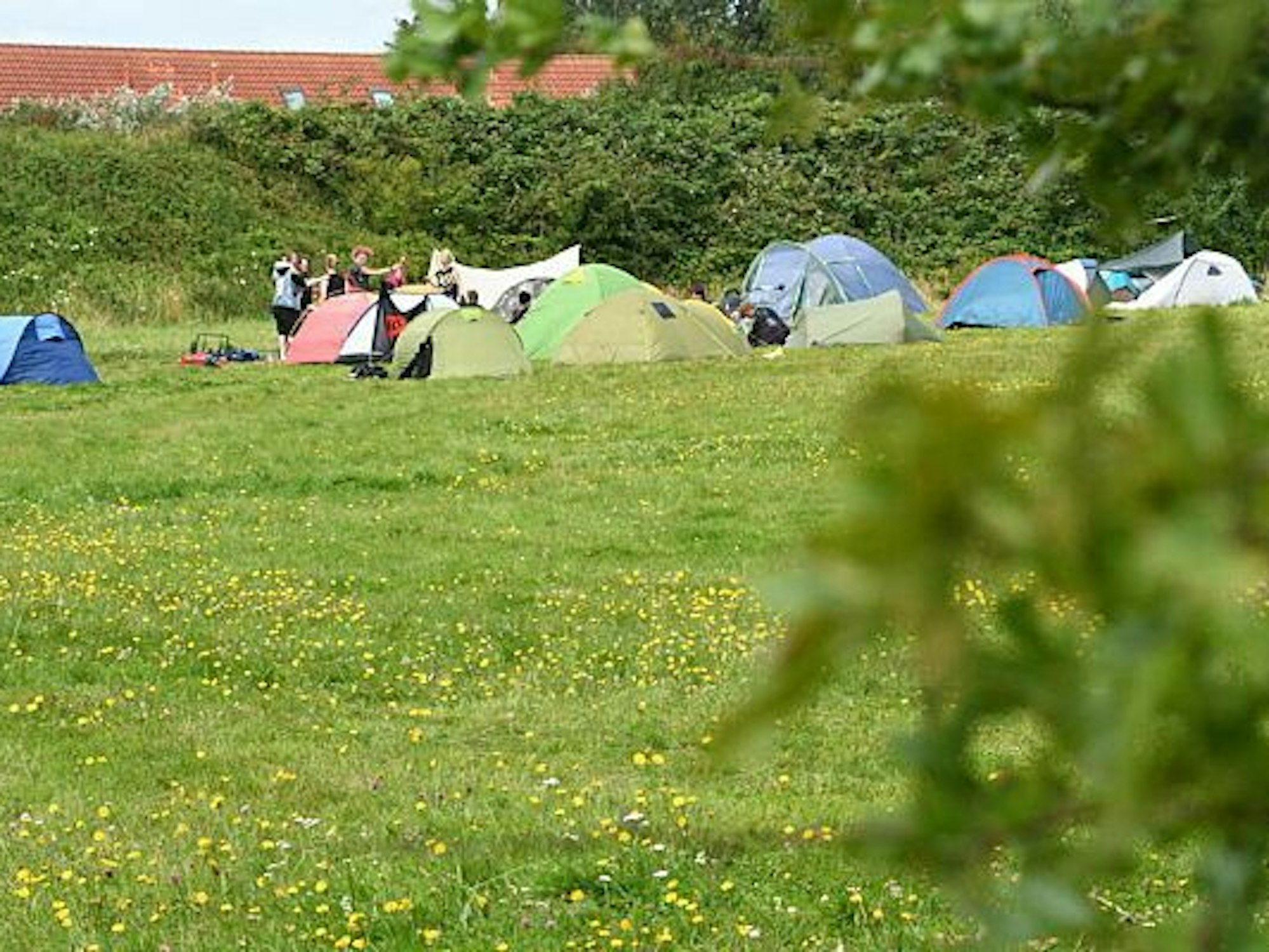 Teilnehmer des Punk-Protestcamps auf Sylt sitzen auf der Camp-Wiese von "Aktion Sylt".