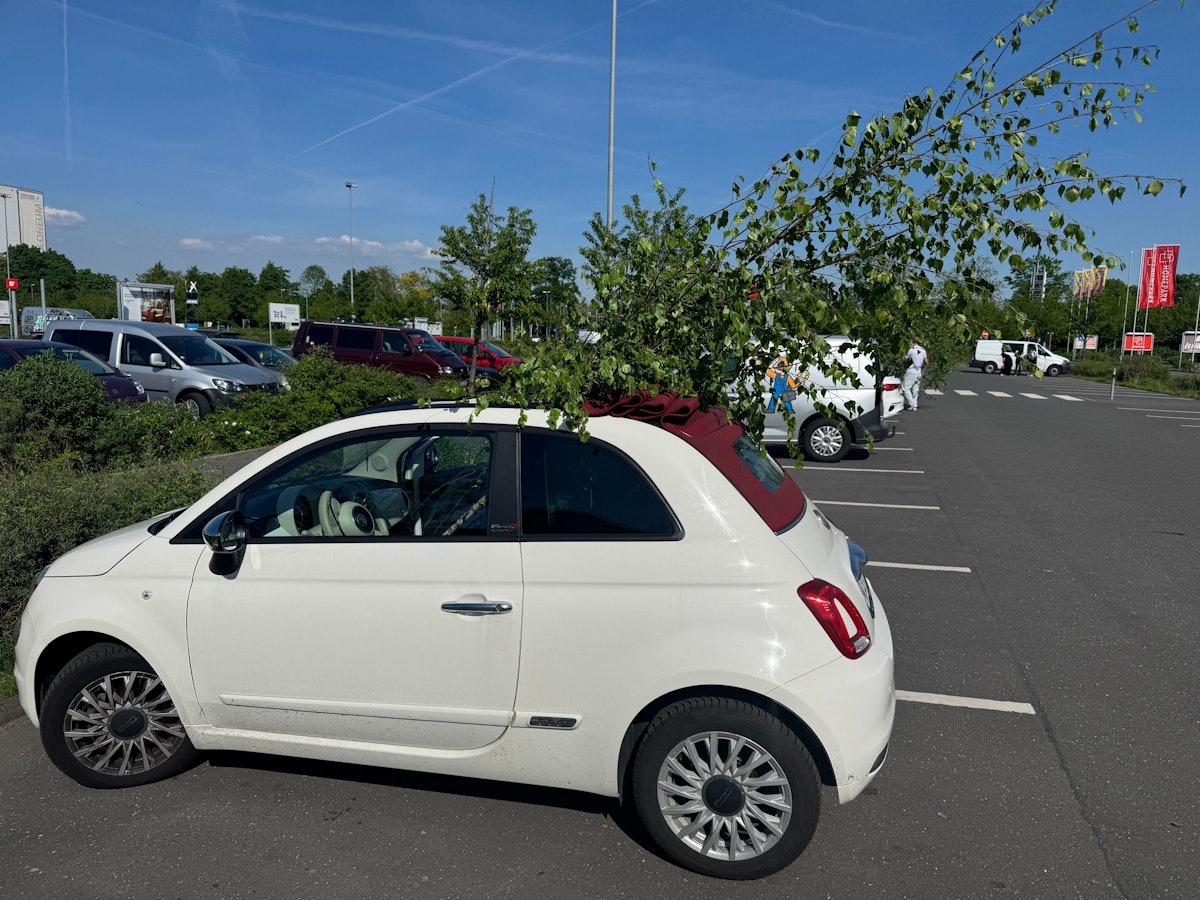 Ein Maibaum ragt aus einem Auto.