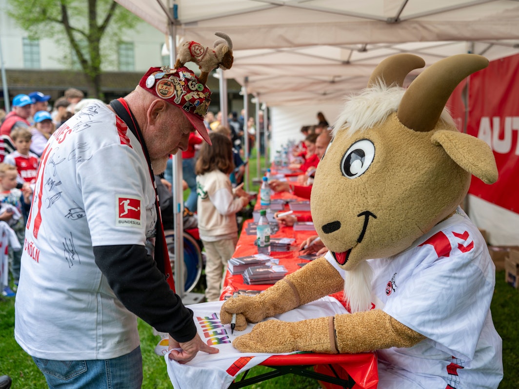 Spieler und Maskottchen Hennes geben Autogramme beim FC-Renntag auf der Galopprennbahn.