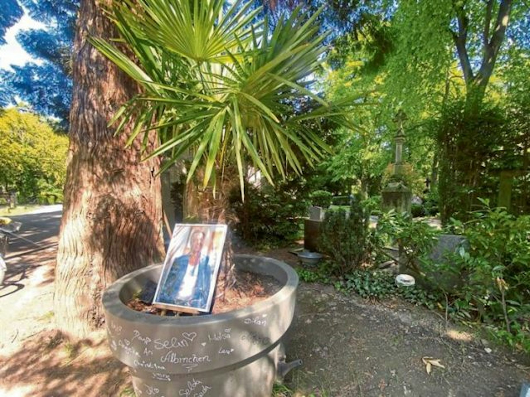 Auf einem Friedhof steht eine Palme, an deren Stamm das Foto eines Mannes lehnt.