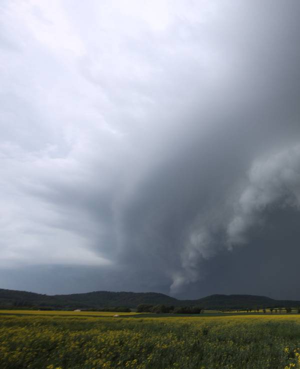 Dunkle Gewitterwolken haben sich hinter einem Rapsfeld in Bamberg gebildet.