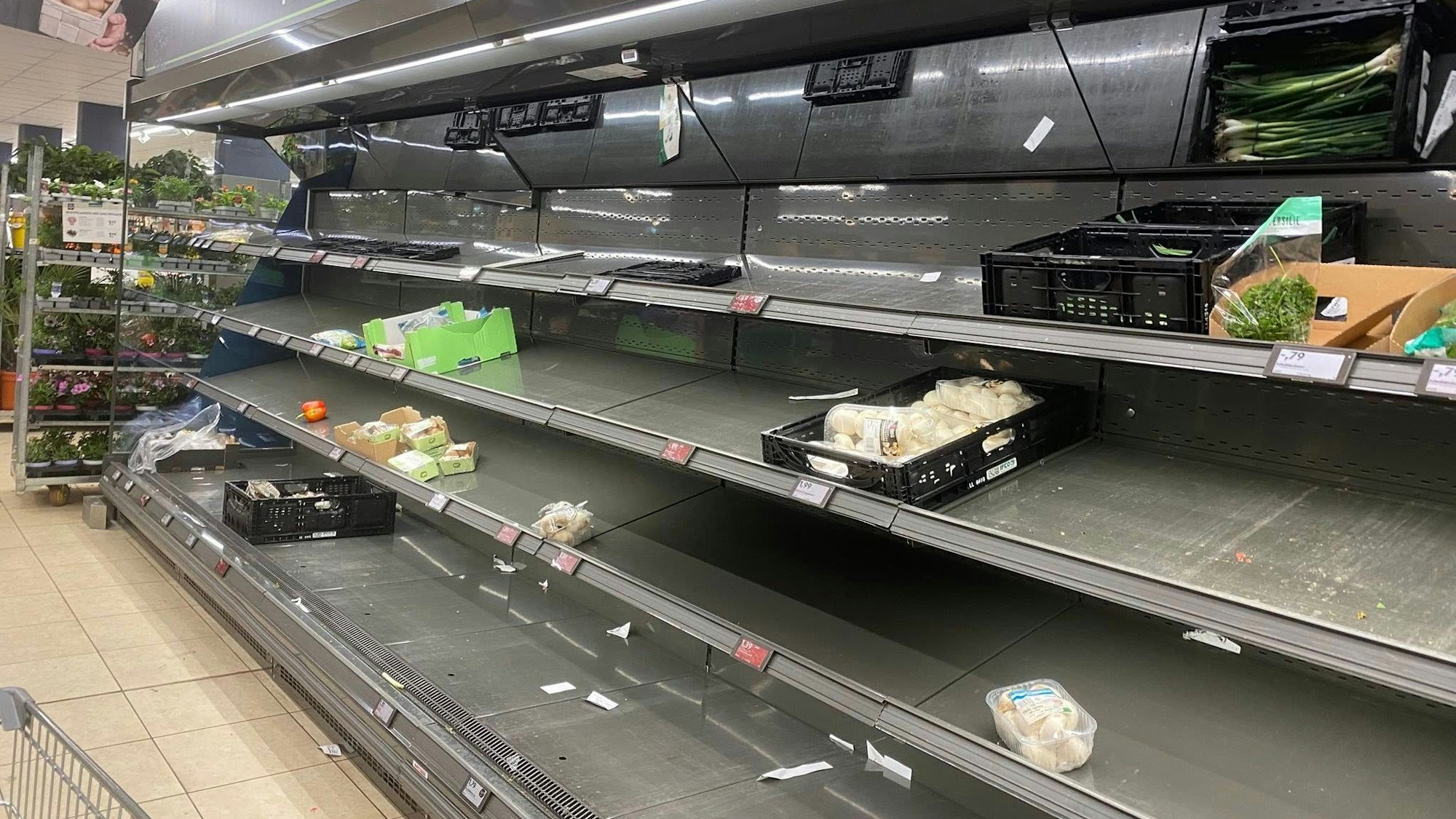 Das Foto zeigt ein Gemüseregal in der Kölner Aldi-Filiale im Agnesviertel.