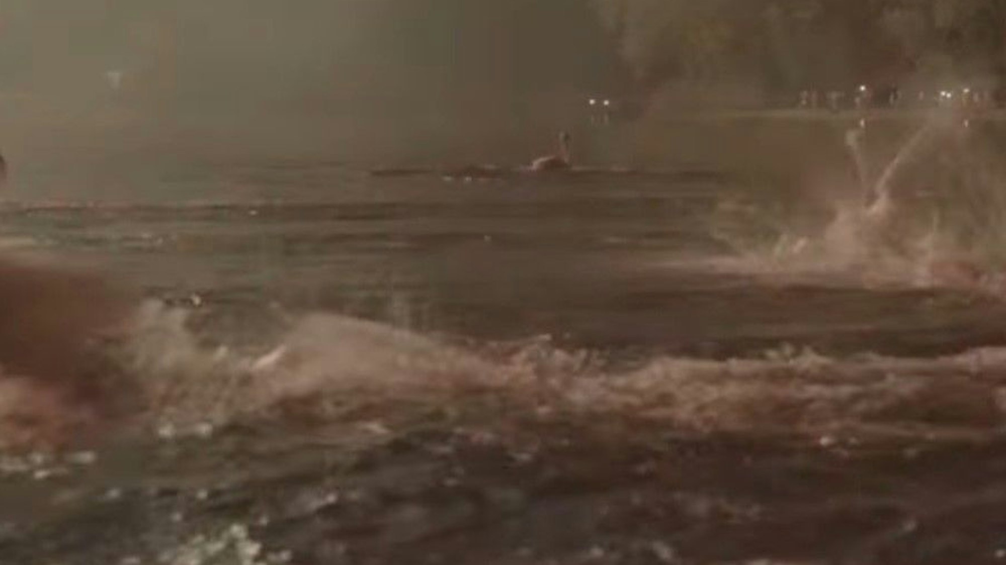 Vögel fliegen im Dunkeln über einen See.