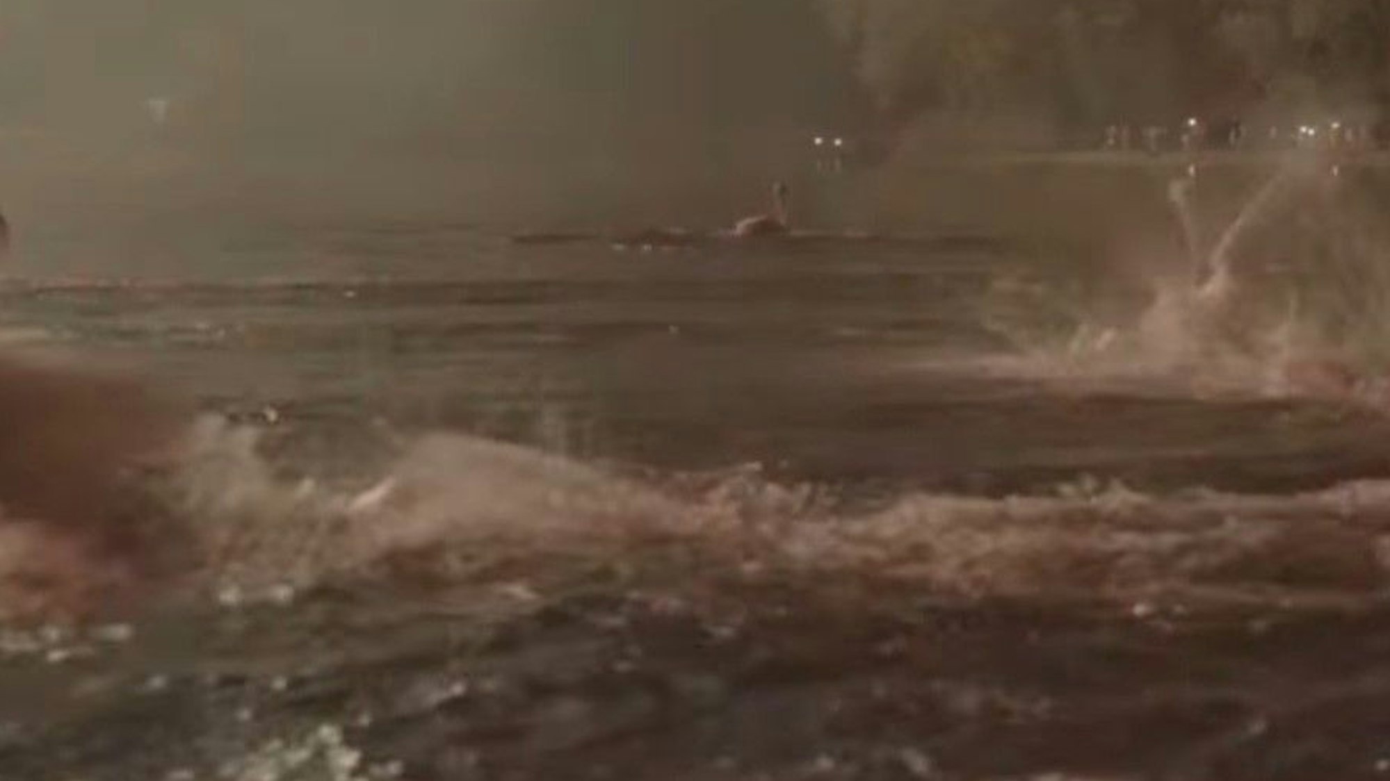 Vögel fliegen im Dunkeln über einen See.