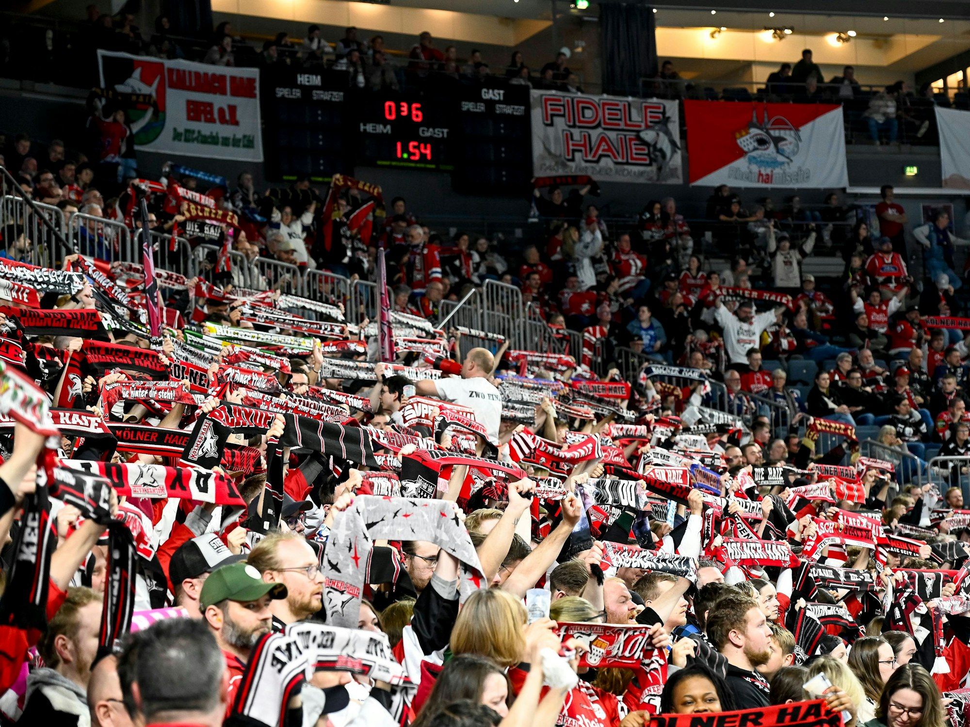 Die Fans der Kölner Haie halten ihre Schals hoch.