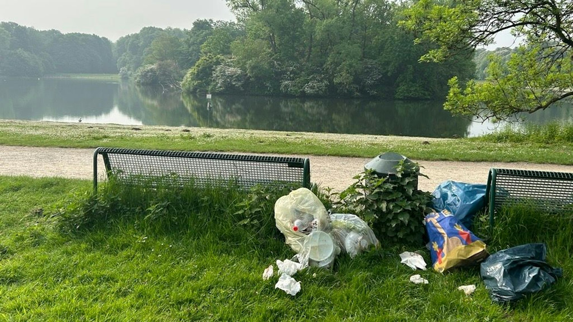 Müll am Decksteiner Weiher