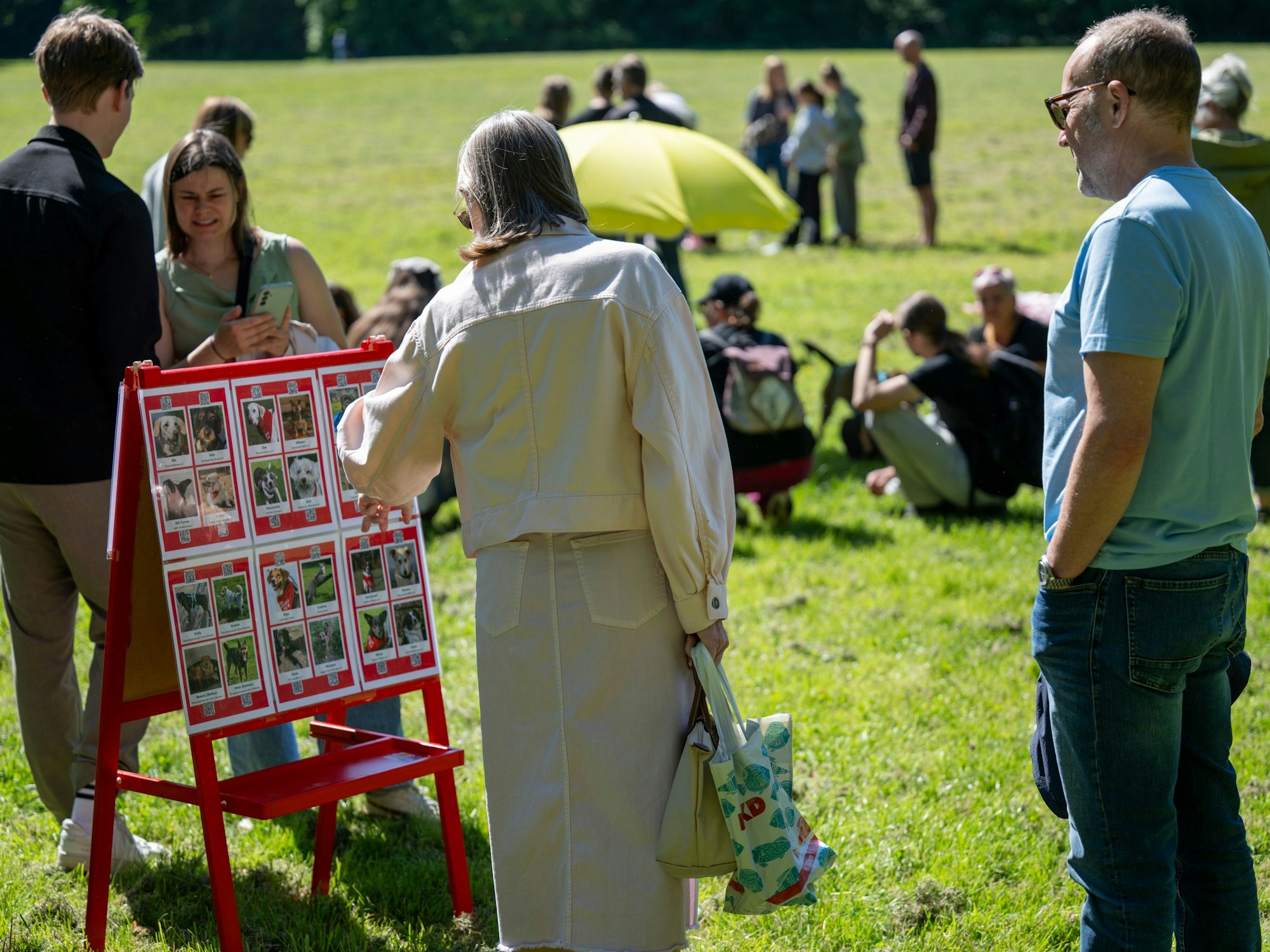 Interessierte schauen sich beim Bark Date Hunde an.