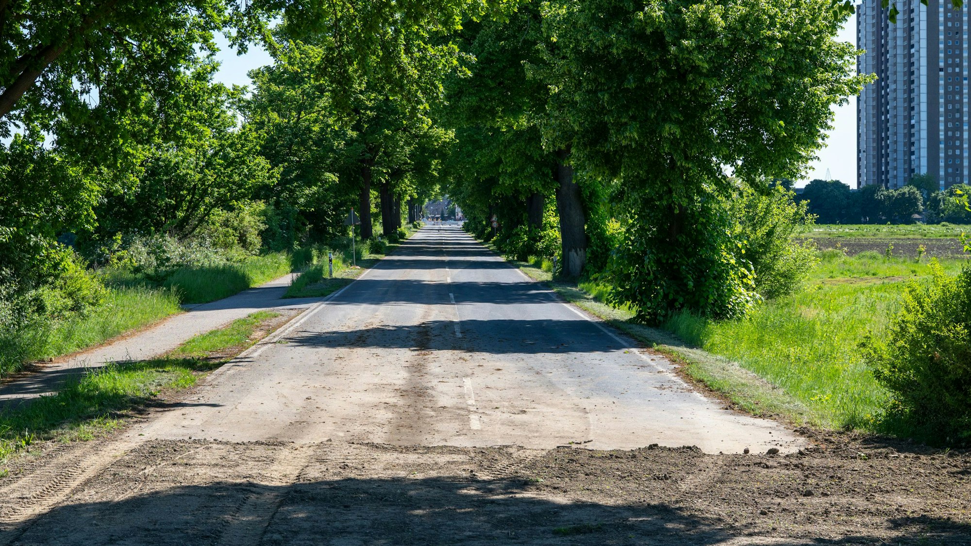 Die alte Brühler Landstraße endet im Nichts. Die Ortsumgehung B51n in Köln-Meschenich ist nach fünfjähriger Bauzeit seit dem 15. April für den Verkehr freigegeben.