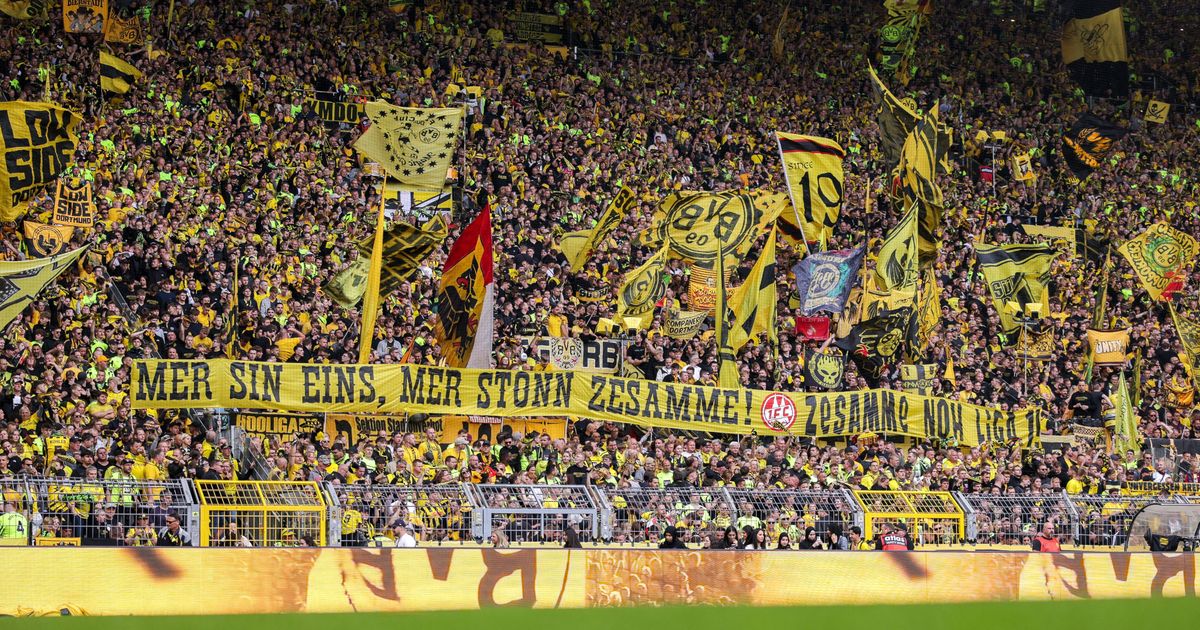 1 FC Köln Promotion Doping - News Directory 3
