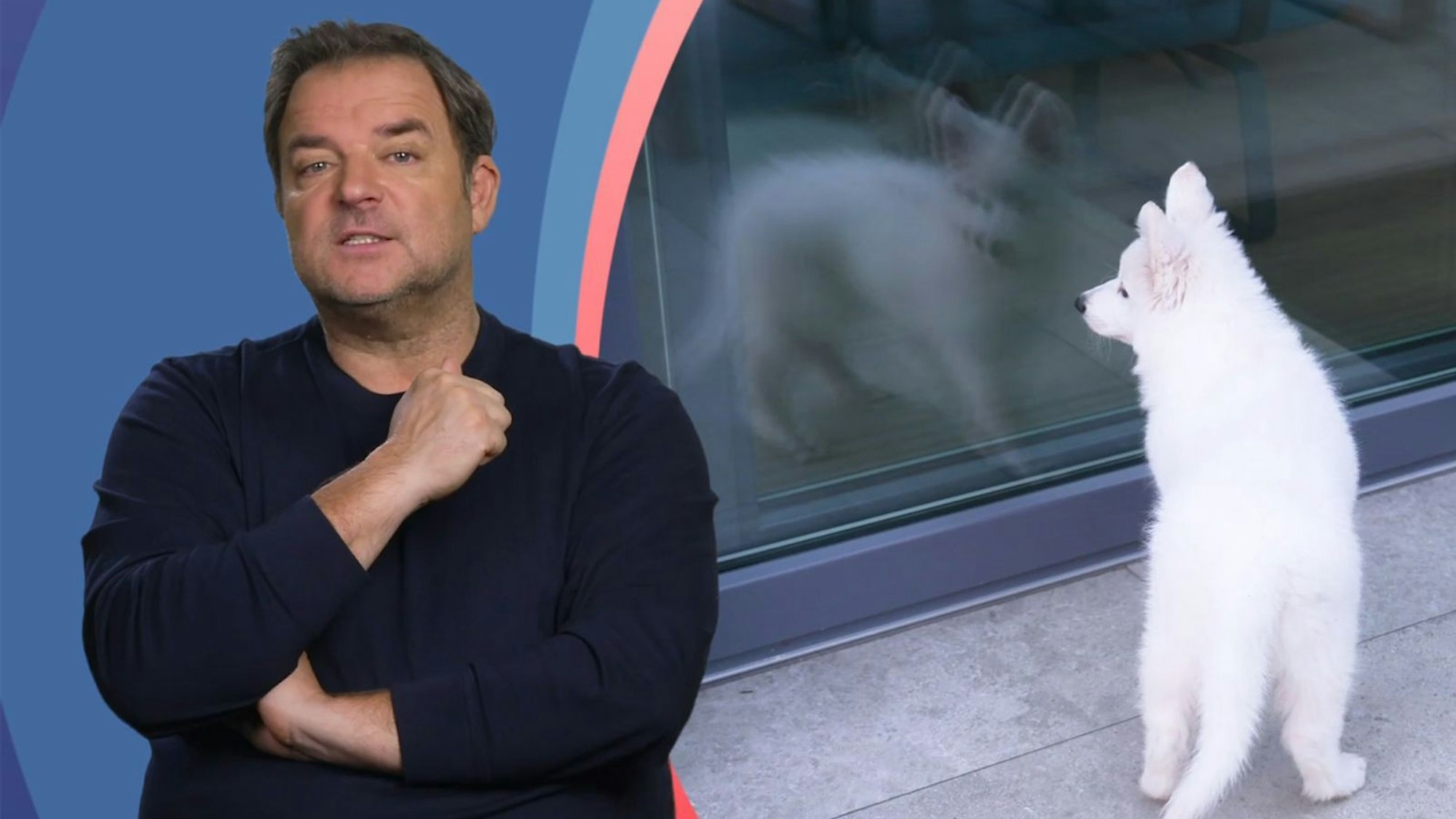 Martin Rütter rät Eltern dazu, mit der Welpenanschaffung lieber zu warten. (Bild: RTL)