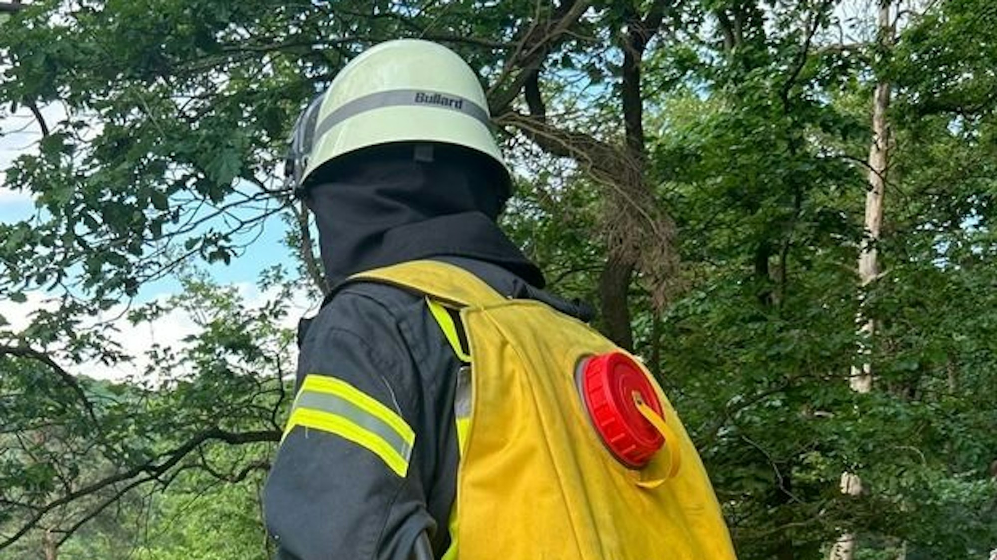 Vegetationsbrand in abgelegener Hanglage