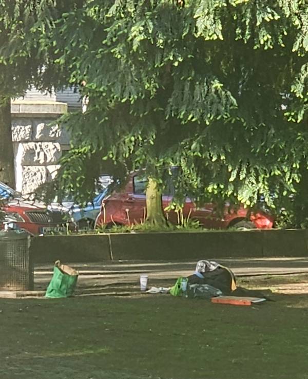 Auf einer Wiese liegen eine große Pizzaschachtel, eine Tasche, Tüten und weiterer Essensmüll liegen neben einer Mülltonne.